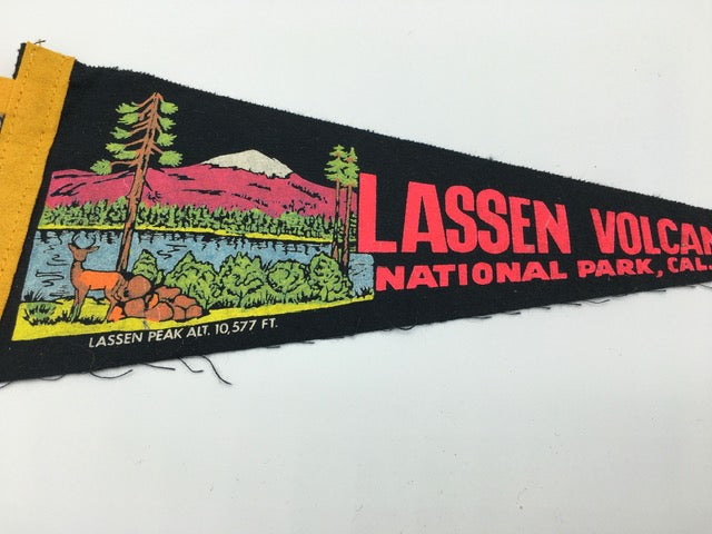 Vintage USA National Park Felt Pennant - Americana - SOLD -